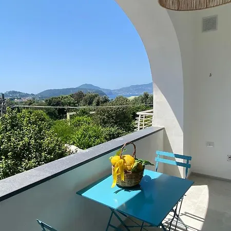 Teresa Madre 普罗奇达