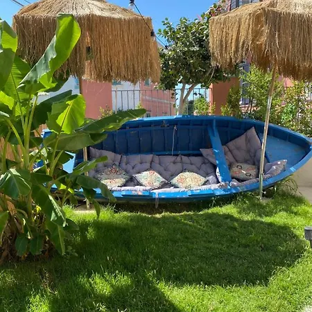 Teresa Madre 普罗奇达